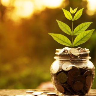 A jar of coins with a plant growing out of it