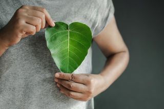 A person holding a leaf