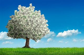 A tree with leaves made of dollar bills blowing in the wind