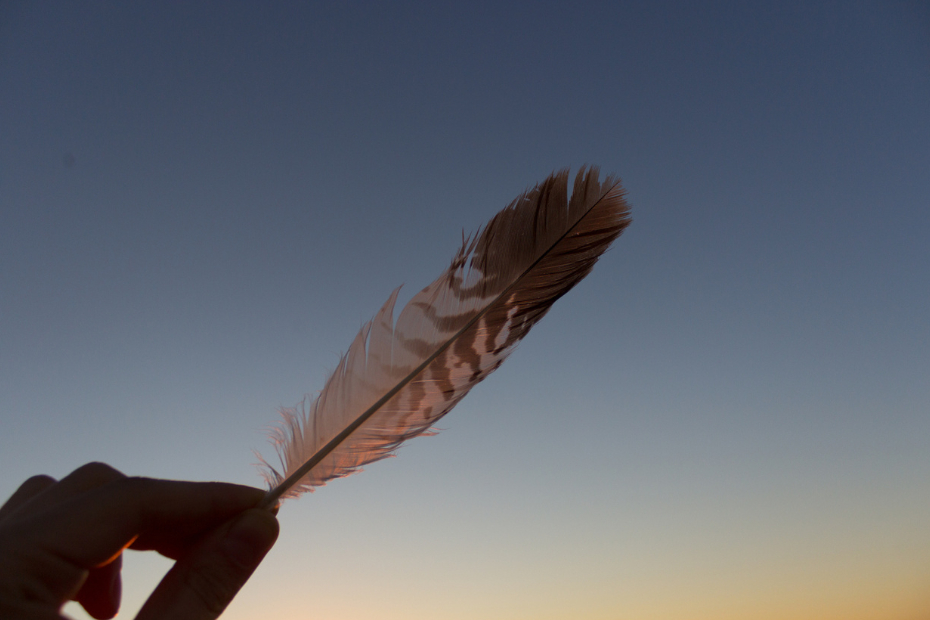 Hand holding a feather