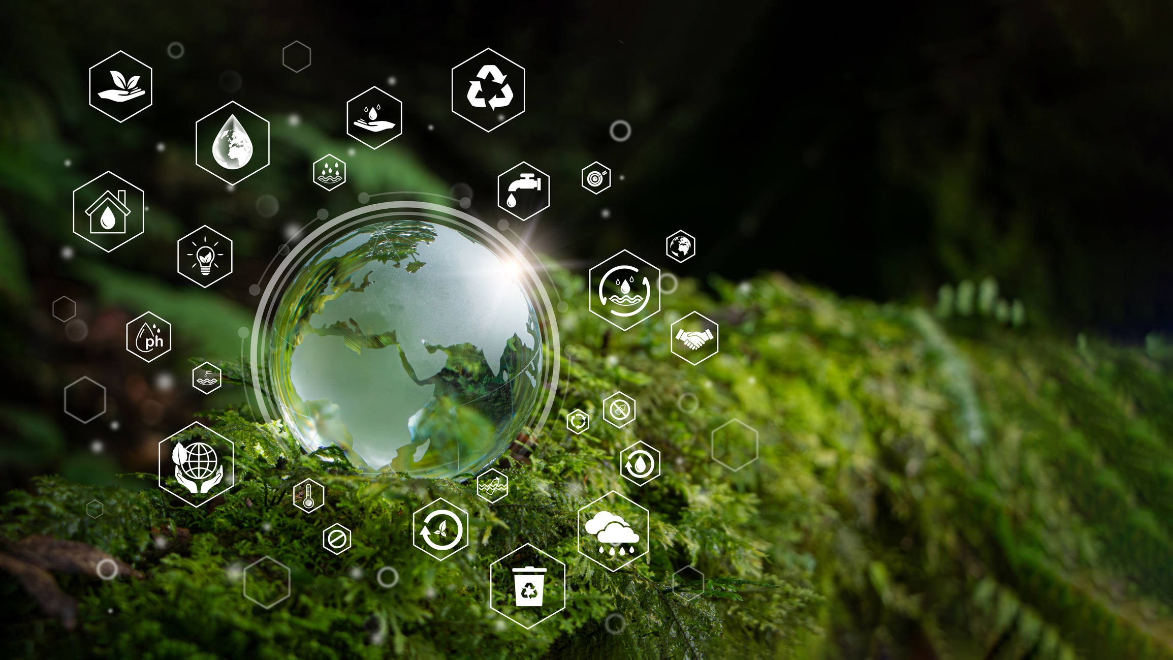 Crystal globe placed on moss with icons.