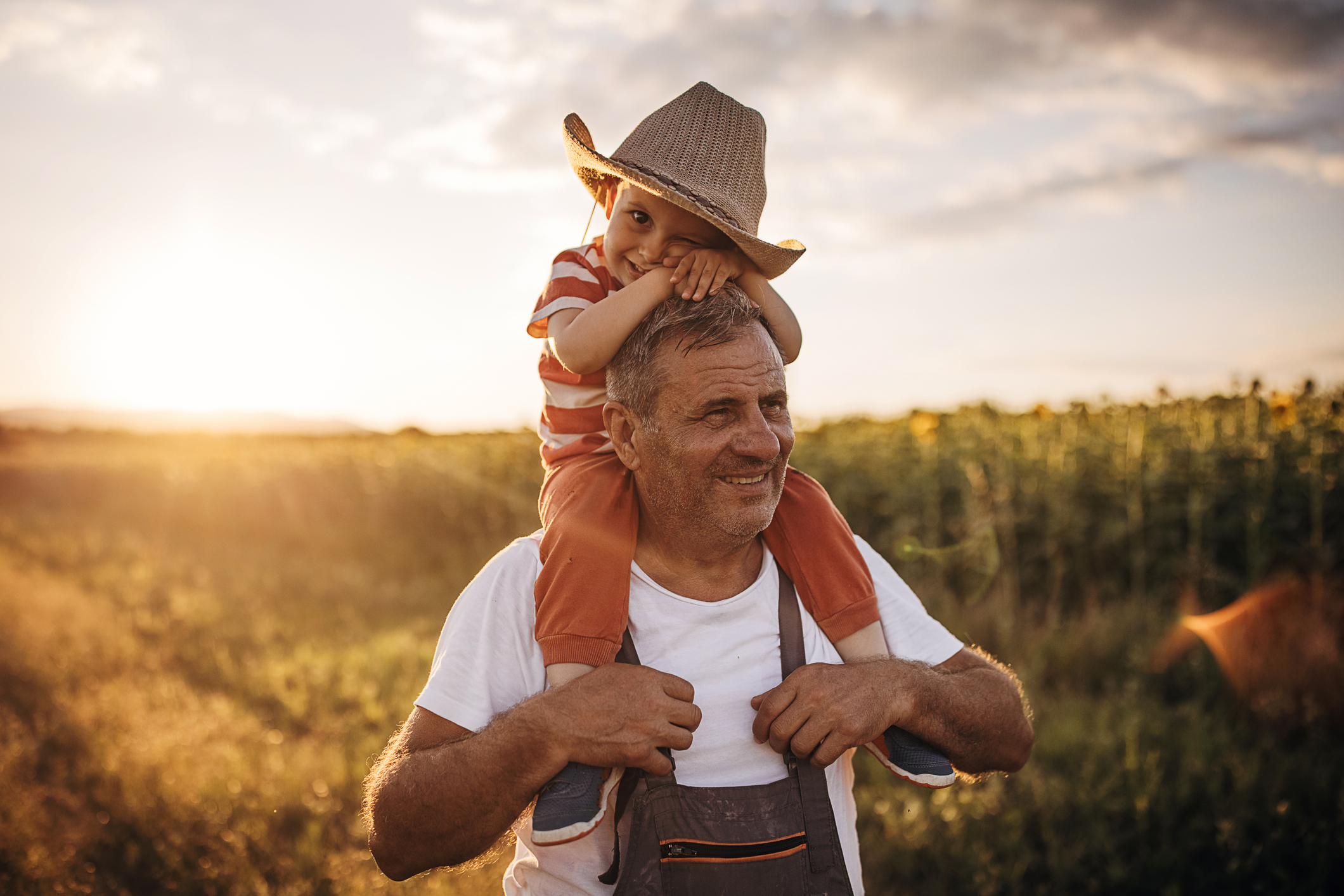 Senior farmer carrying his grandson on the shoulders and having fun on the wheat field farm