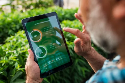 A person viewing graphs on a tablet device.