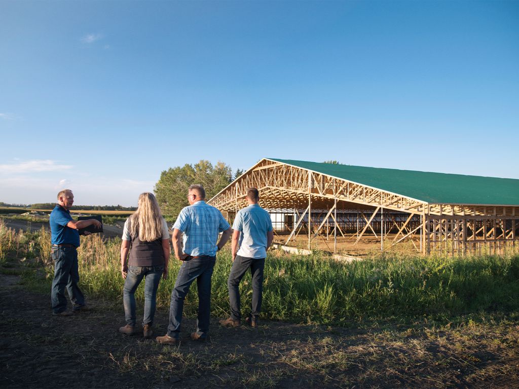 Three farmers on the farm