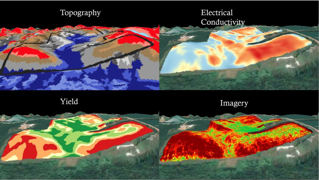 electrical conductivity map, topography and yield maps