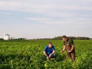 Deux personnes dans un champ